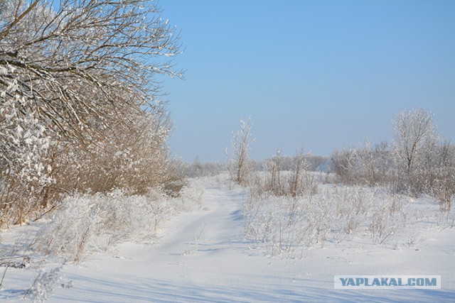 Достали своей Москвой, у нас в России нет городов больше?