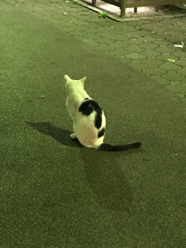 Немного милоты
