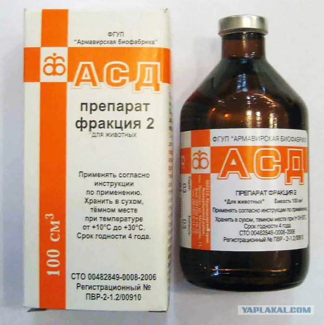 Мысли вслух