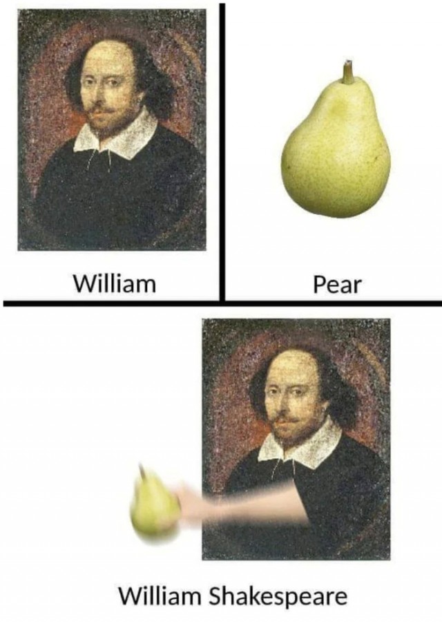 13952776.jpg