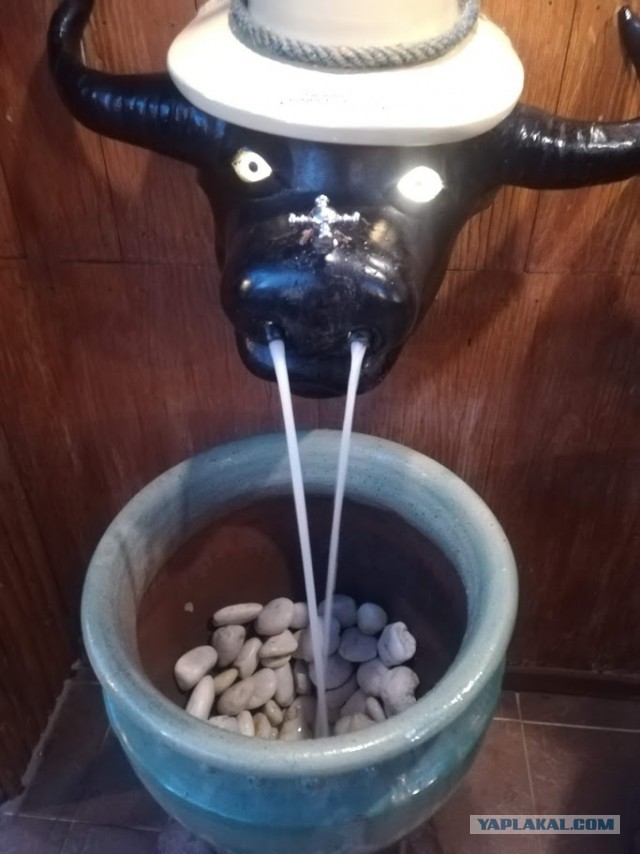 Туалеты мира