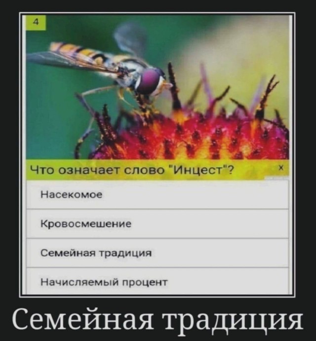 АХТУНГ! все на плановую деградацию!