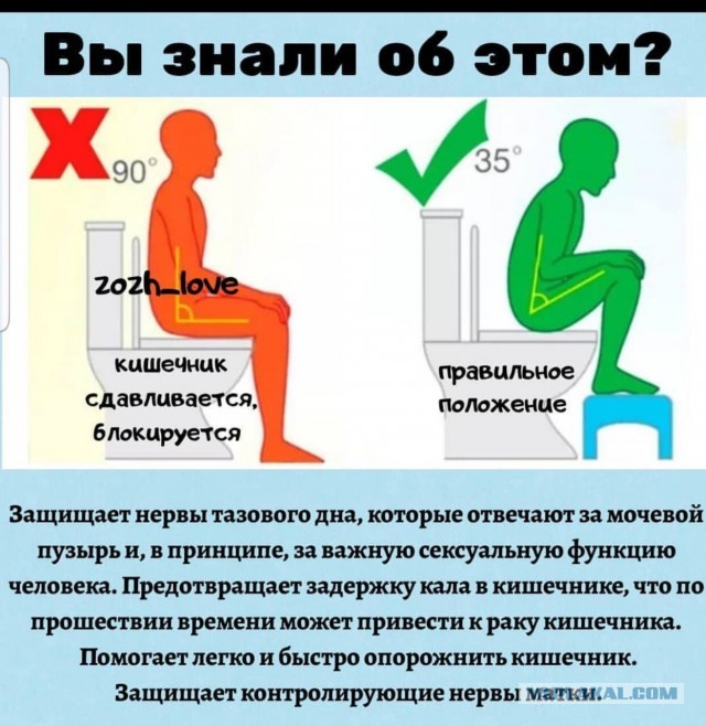 14 фактов о нашей жопе
