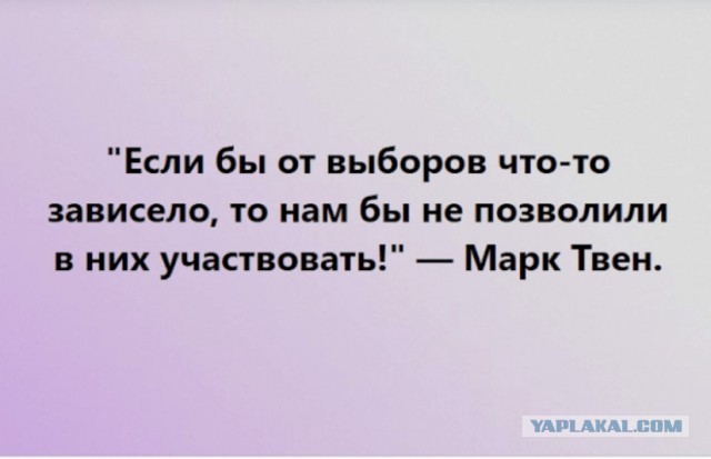 А ты, проголосовал?