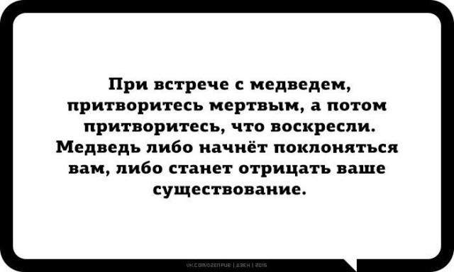 Так себе картинки 31.10.21