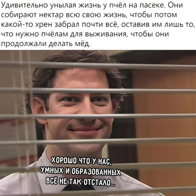 Человек собаке друг и другие картинки под настроение 13.01.2022