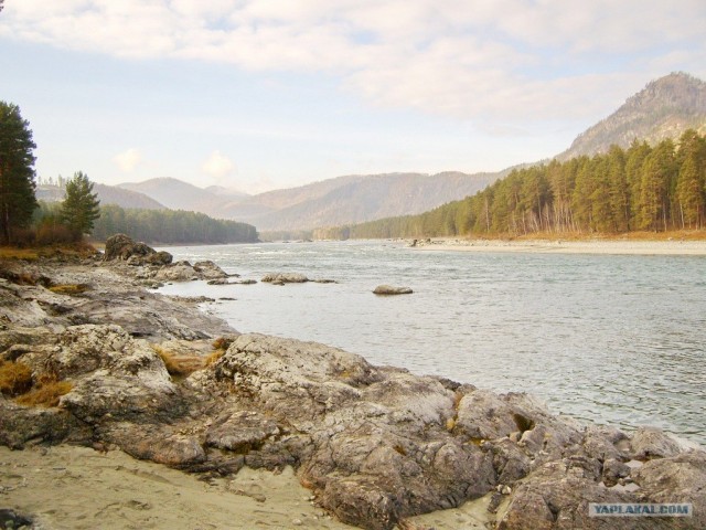 В ноябре на Алтае 2010г.