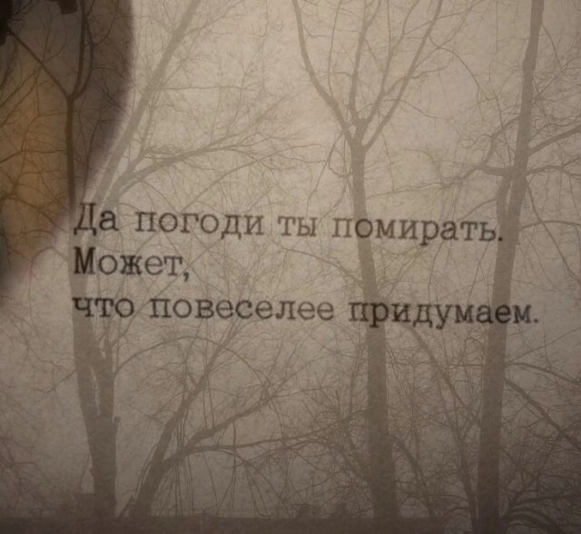 Давайте просто подеградируем над БАЯНАМИ