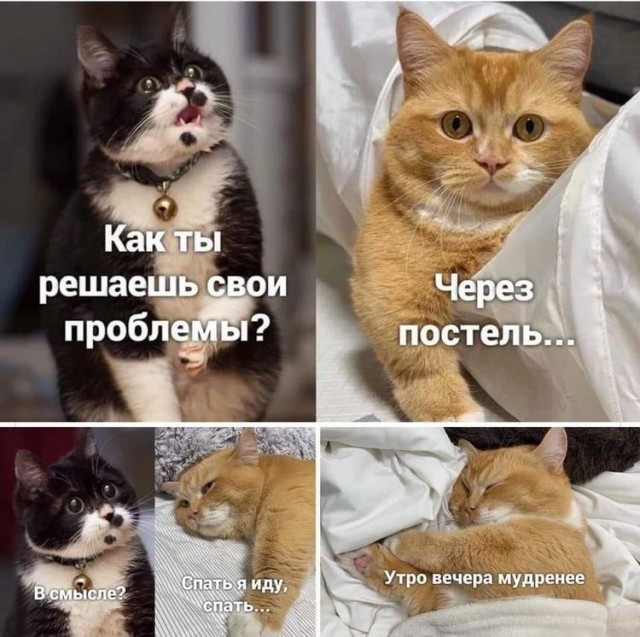 Картинки с надписями и всякие жизненные фразы