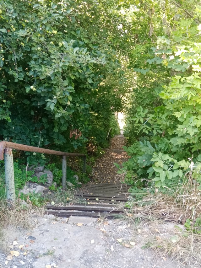 Вот моя деревня-1