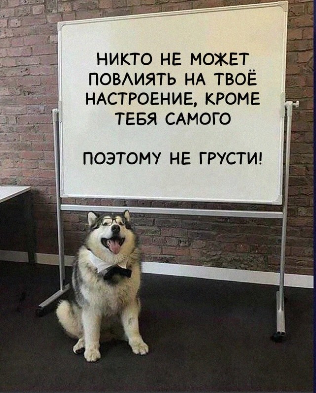 Картинки и мемы для настроения. Выходные рядышком...