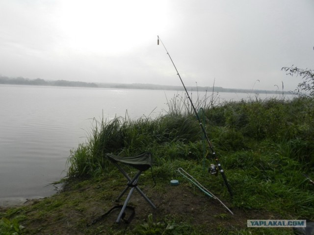 Рыбалки псто