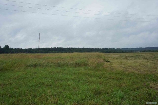 Экспедиция Тамбов-Карелия (бесов нос).