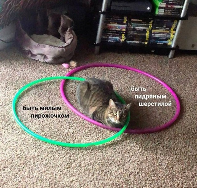Очень унылые картинки