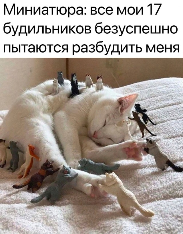 Так себе картинки 05.03.23