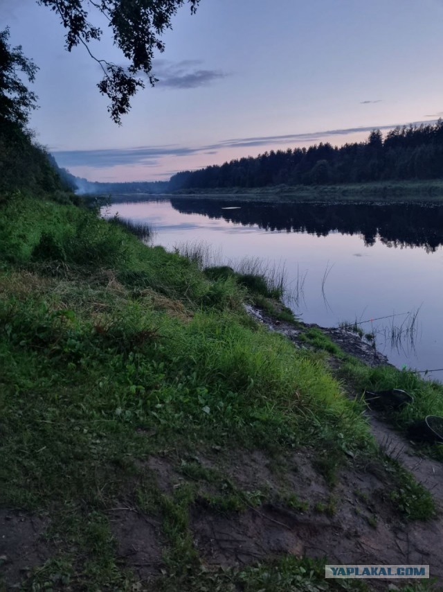 Рыбалка на Мологе