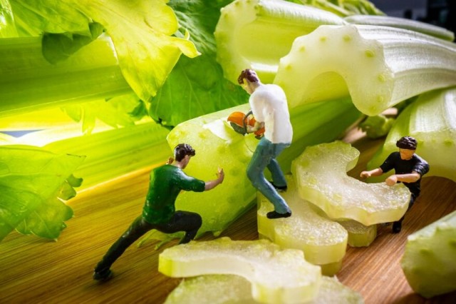 Мои любимые микромиры