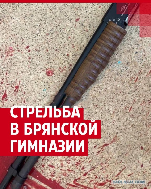 «Его били каждый день»: 11-летний школьник мог покончить с собой из-за травли одноклассников-кавказцев