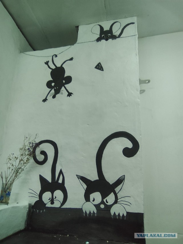 Котовторник 09.04.24
