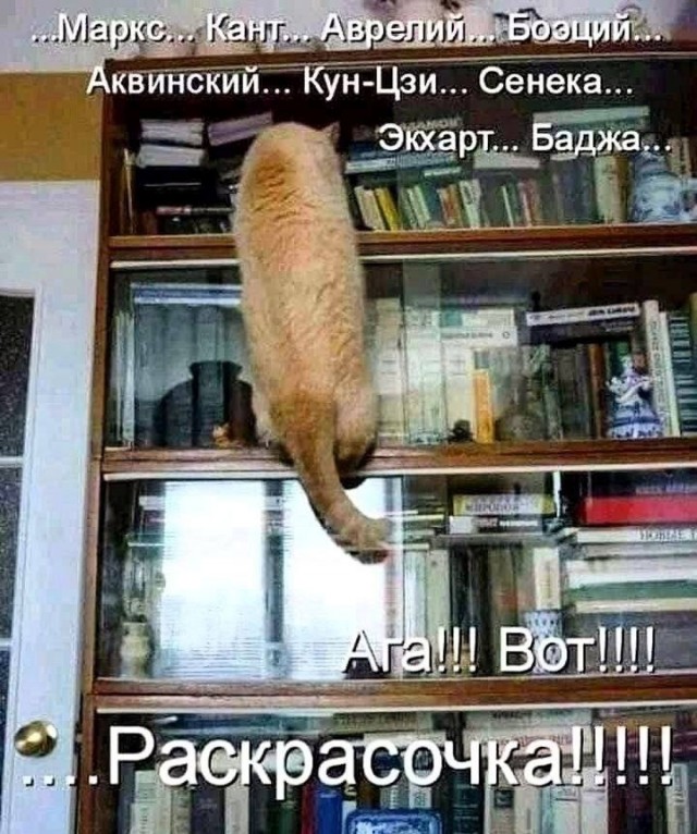 Нуштош 03.05.2024