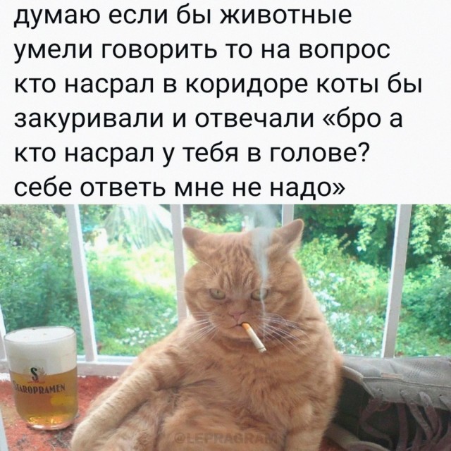 Никакие картинки и тексты