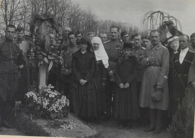 1917-1920. Из архива генерала Антона Ивановича Деникина