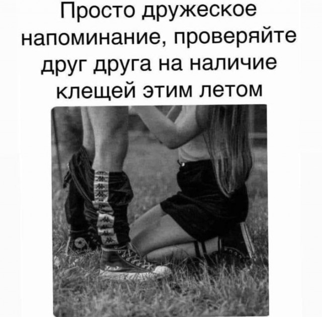 Так себе картинки 18.07.24