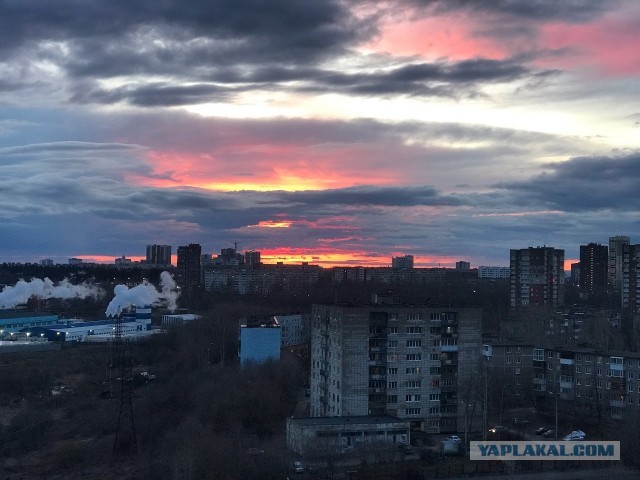 Вид из окна