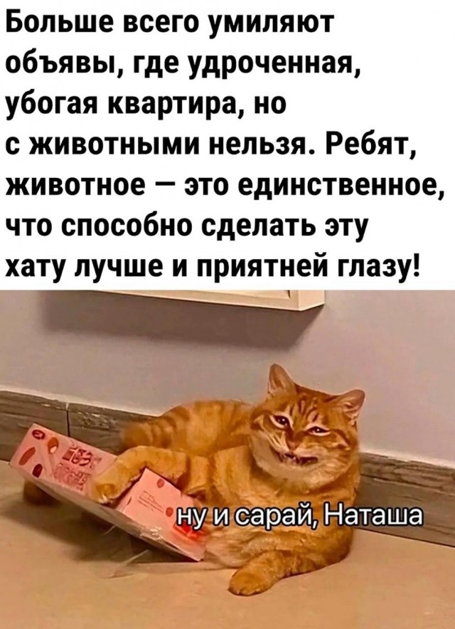 Завалялось тут случайно немного забавных картинок