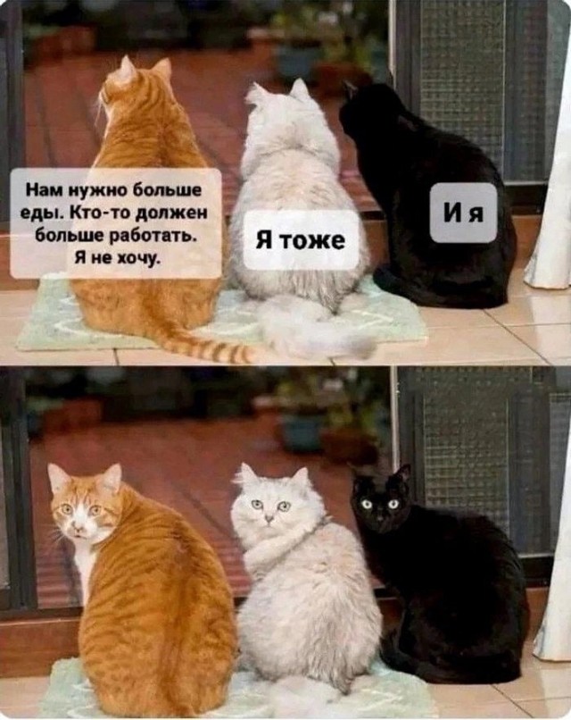 Завалялось тут случайно немного забавных картинок