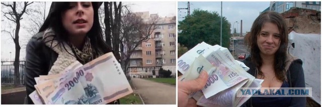 Поляк встретил лягушку. Получилось как обычно