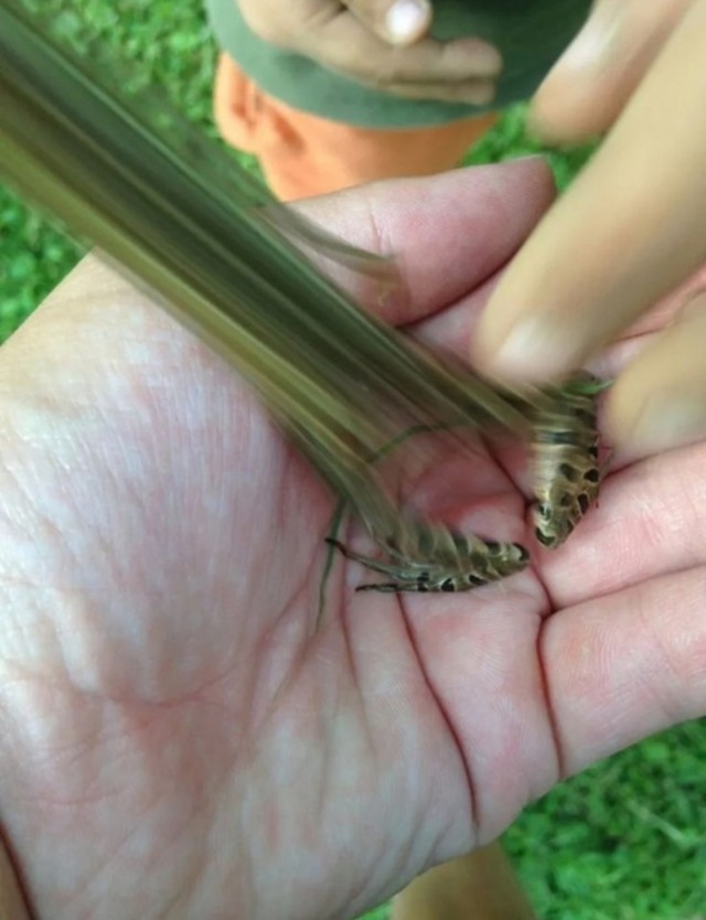 Заряд позитива: взгляните на 25 самых забавных снимков