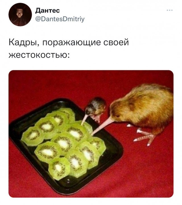 Каартинки весёлые и не очень