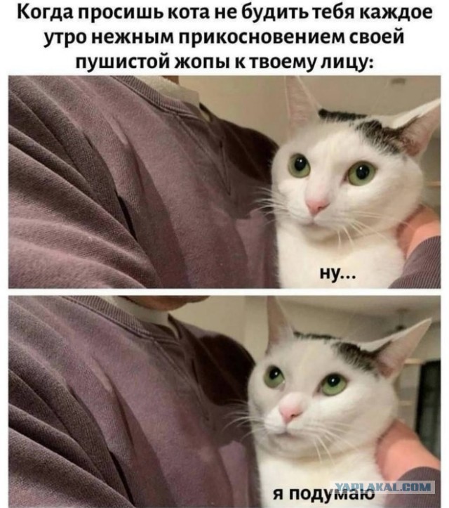 Так себе картинки 07.09.25