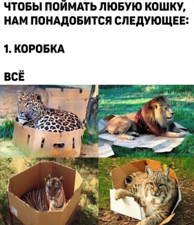 Картинки маленькой пятницы