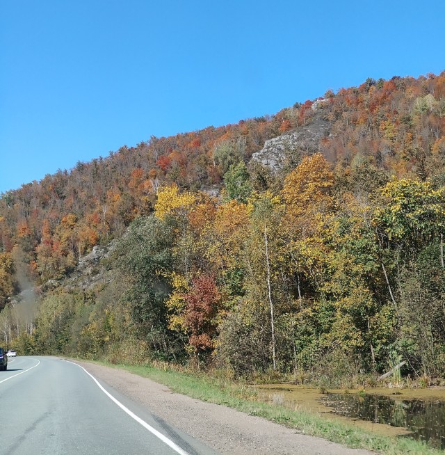 Сказочная дорога.