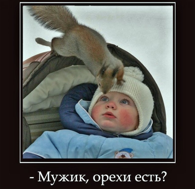 Четверговые картинки