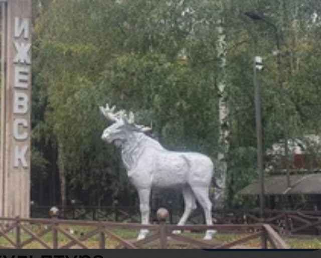 Ижевск лось.
