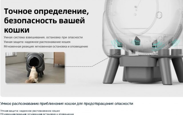 Кот знал всё с самого начала.