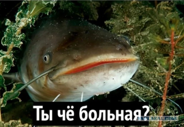 К 35 годам россияне должны успеть родить минимум троих детей, создать семью и состояться в профессии, глава Совфеда Матвиенко