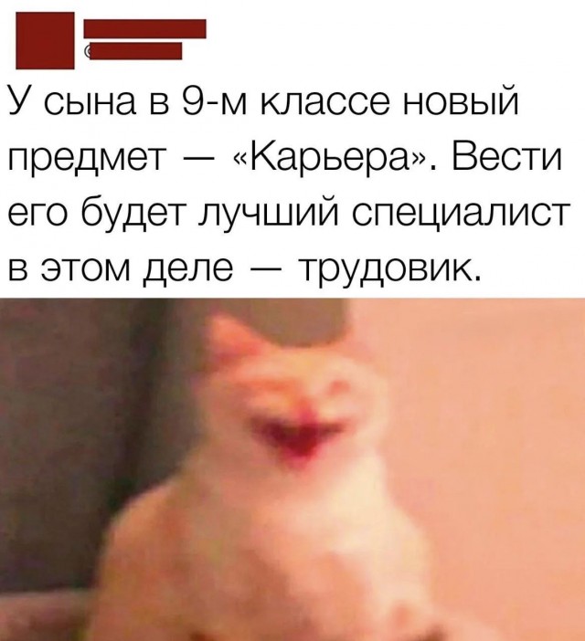 Картинки для деградации 252 (разной степени свежести)