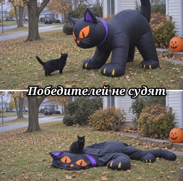 Так себе картинки 12.10.26