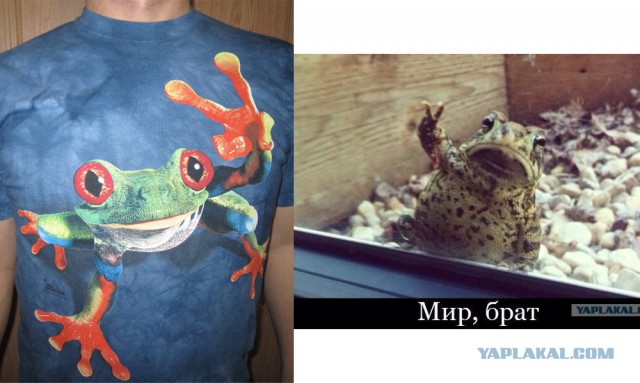 Весёлые картинки. Разбавим будни