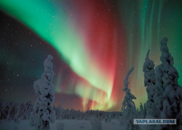 Лучшие фотографии месяца