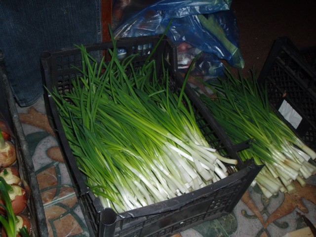 Зеленый лук.