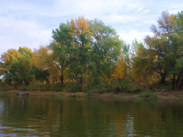 Рыбалка на Ахтубе. 2012. Первый опыт.