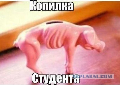 По-любому другу подарю
