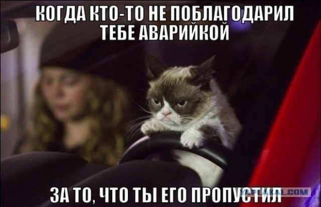 Автоприколы