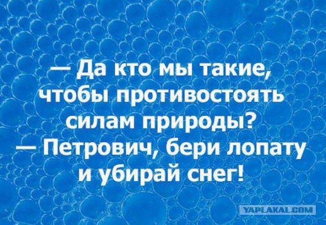 Веселые картинки