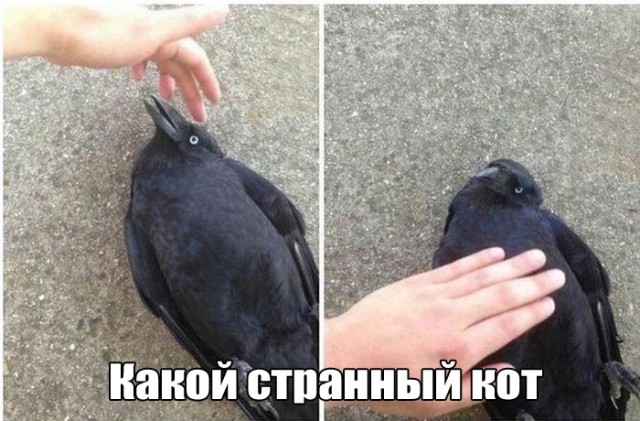 Подборка картинок на пятницу